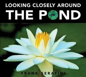 Looking closely around the pond / Frank Serafini.