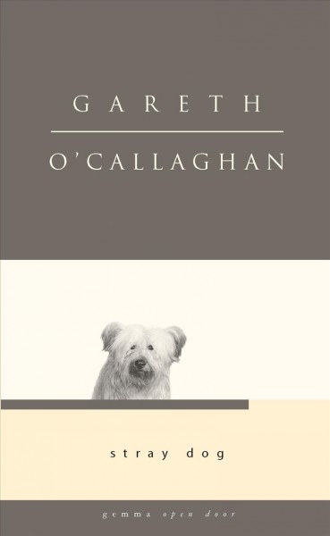 Stray dog / Gareth O'Callaghan.