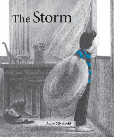 The storm / Akiko Miyakoshi.