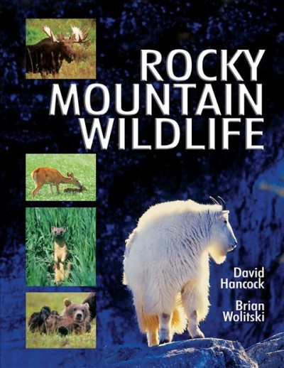 Rocky Mountain wildlife / David Hancock ; photos: Brian Wolitski, David Hancock.