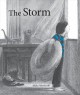 The storm  Cover Image
