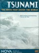 Tsunami, the wave that shook the world Cover Image